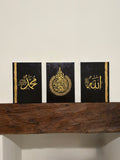 Sacred Unity - Set of 3 Hand-Painted Canvases (Made to Order)
